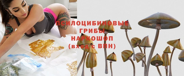 шишки Алексин